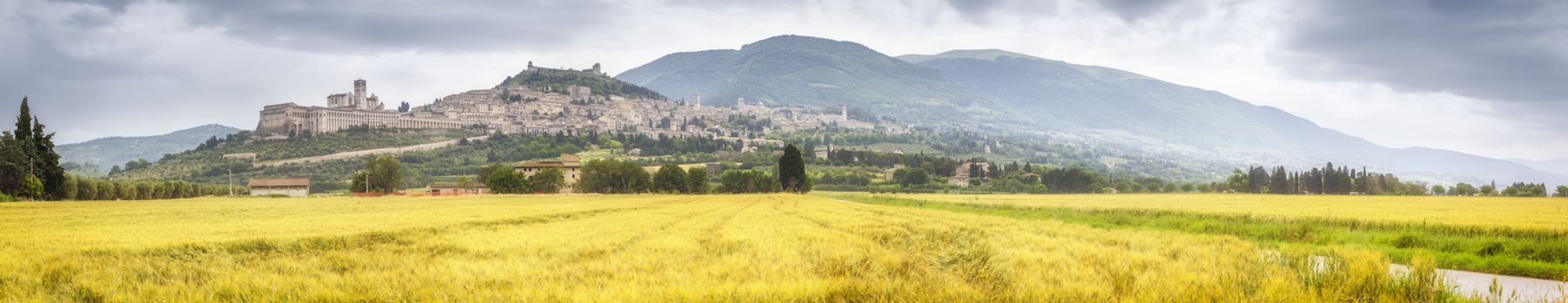 An image of a view to Assisi in Italy Umbria golden field panorama