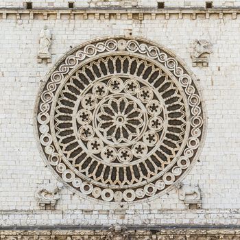 An image of the window rose from Assisi