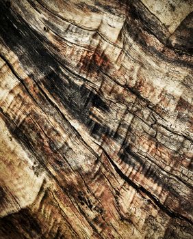 abstract background or texture old weathered wood without bark