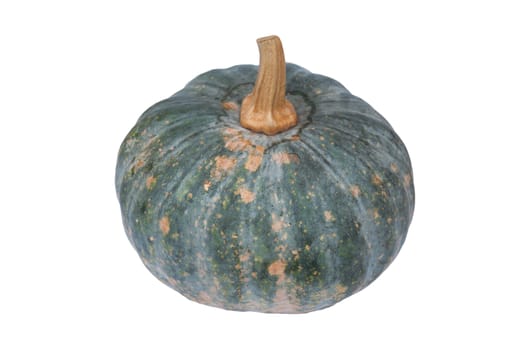 A pumpkin is a cultivar of a squash plant, most commonly of Cucurbita pepo, that is round, with smooth, slightly ribbed skin, and deep yellow to orange coloration. The thick shell contains the seeds and pulp. Some exceptionally large cultivars of squash with similar appearance have also been derived from Cucurbita maxima. Specific cultivars ofwinter squash derived from other species, including C. argyrosperma, and C. moschata, are also sometimes called "pumpkin". In New Zealand and Australian English, the termpumpkin generally refers to the broader category called winter squash elsewhere.