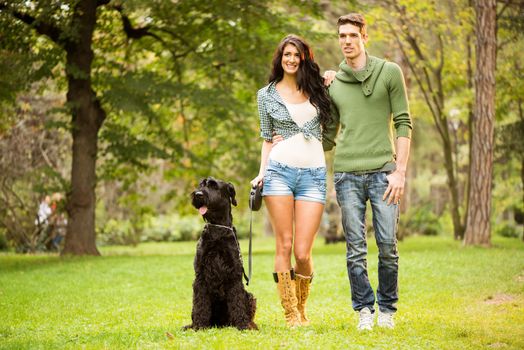 Young handsome heterosexual couple with a dog, a black giant schnauzer, enjoy a walk through the park.