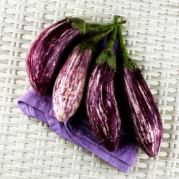 Arrangement of Fresh Raw Striped Eggplants on Purple Napkin closeup on Wicker background