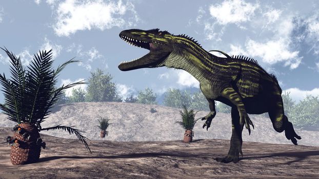Torvosaurus dinosaur walking near cycaeodia plant by day - 3D render