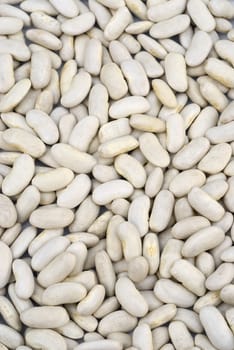 background of white beans