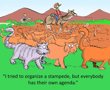 "I'm trying to organize a stampede but everyone has her own agenda."