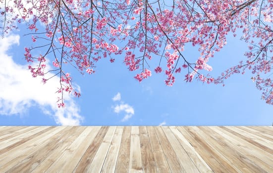 wood table and Beautiful of pink flowers cherry blossom or sakura flower on blue background.
