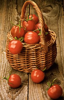 Wicker Basket Full of Perfect Ripe Cherry Tomatoes with Stems closeup on Rustic Wooden background. Retro Styled