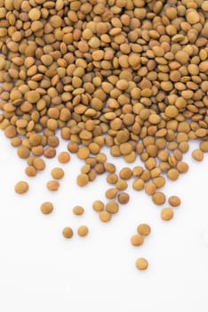 Brown lentils seeds on a white background