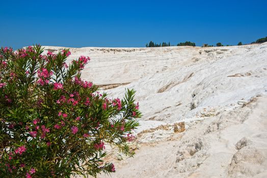 Pammukale, Turkey - July, 2015: panoramic view of Pammukale near modern turkey city Denizli