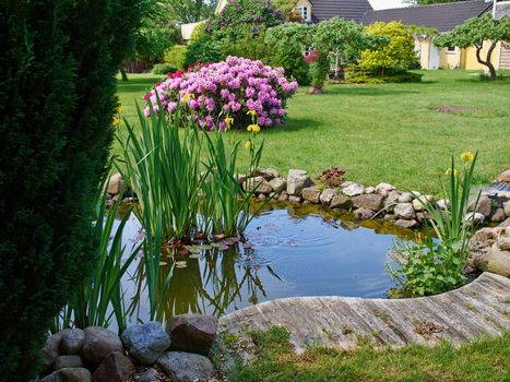 Beautiful classical garden fish pond surrounded by grass gardening background   