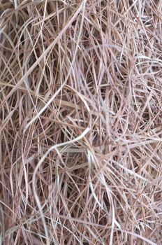 Dry straw