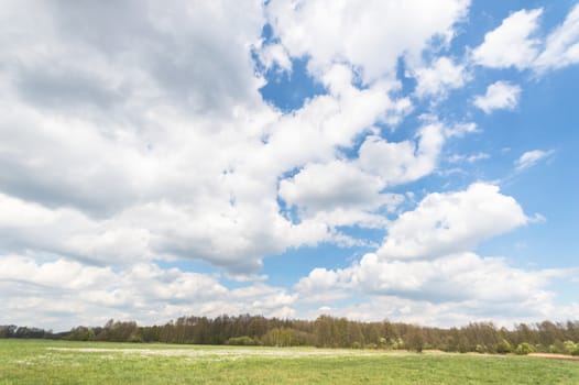 natural green colorful rural meadow, nature series