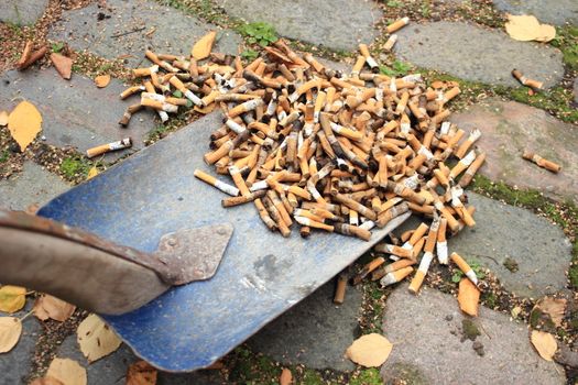 Cleaning a lot of cigarette garbage with a shovel