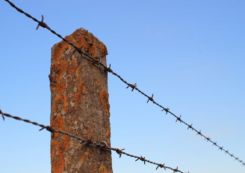 Perspective of isolated barbed wire on cement pole with alga