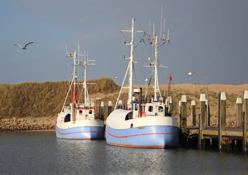 Two blue fishing boats and a seagull in industrial harbor