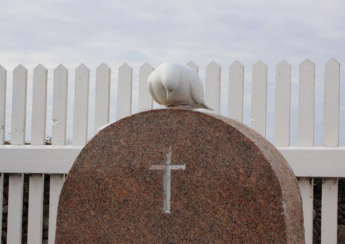 Simple tombstone at graveyard with white fence and pigeon