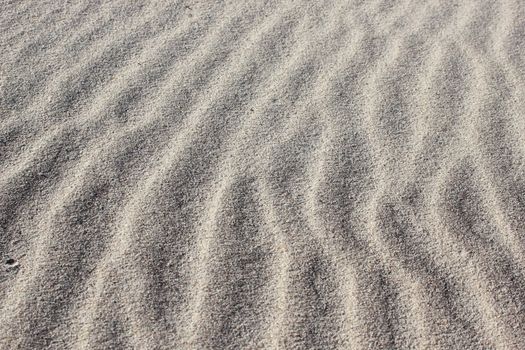 Sandy waves - Vertical sand texture build and created by the wind and ocean