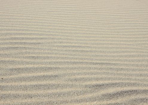 Sandy waves - Horizontal sand texture build and created by the wind and ocean