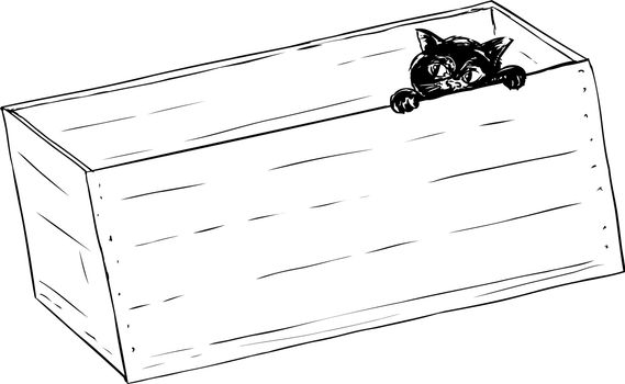 Sketch illustration outline of adorable little kitten peeking from inside of wooden crate