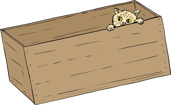 Hand drawn illustration of cute tabby kitten peeking from inside of wooden crate