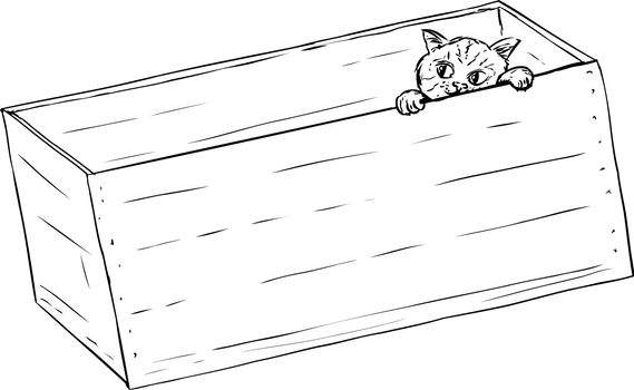 Outline illustration of cute tabby kitten peeking from inside of wooden crate