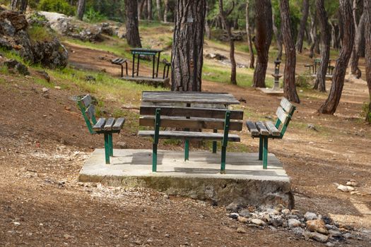 View of natural park with table and benches around big trees.