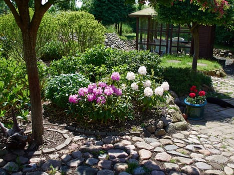 Blooming flowers and plants corner island in a beautiful garden