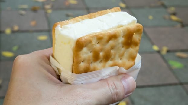 The close up of tasty cracker ice cream sandwich.