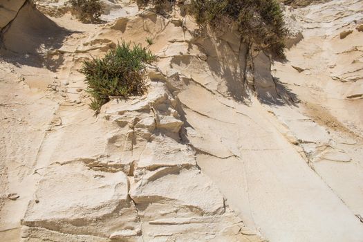 Sharp edges of a sandstone hill, enlightened by sun. Several bushes.