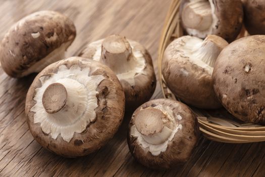 plenty of fresh mushrooms on a wooden background