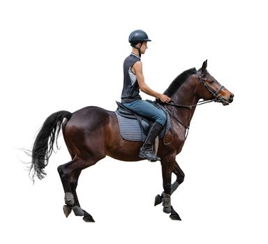 man riding on a horse isolated white background
