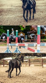 collage made from photos of equestrian competitions
