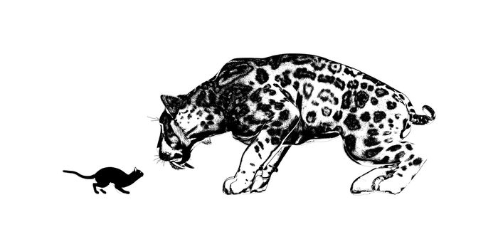 Mirror of Cat and Sabretooth Tigher as a Adversity Concept