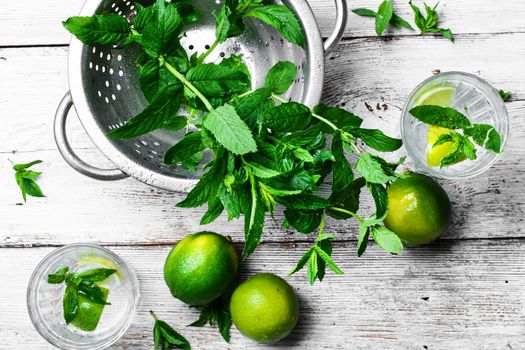 refreshing summer drink cocktail with lime and mint on a light background