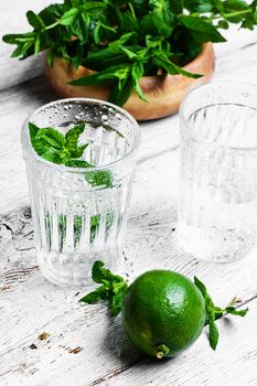 refreshing summer drink cocktail with lime and mint on a light background