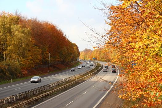 Busy highway through autumn forest with beautiful colors