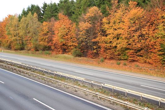 Empty highway through autumn forest with beautiful colors