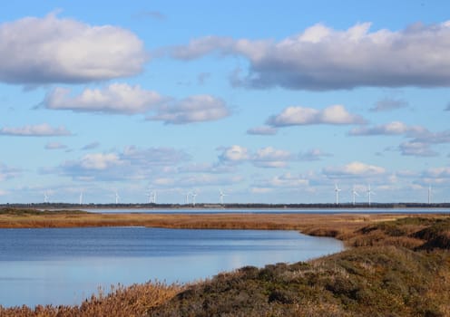 Landscape of danish fjord with windmills in the horizon