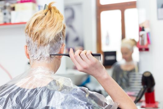 Hairdresser salon. Hair colouring in process. Beautiful young woman dyeing hairs.