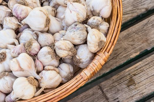 Garlic in rustic basket on old retro wooden table.