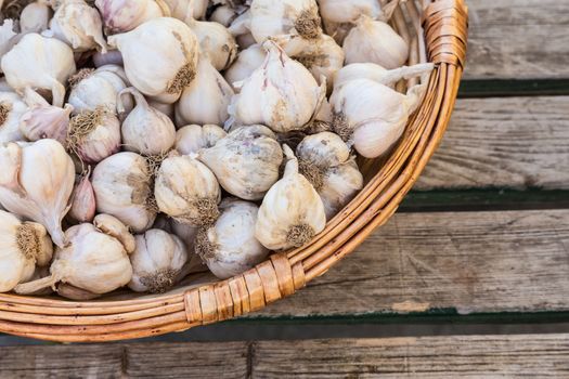 Garlic in rustic basket on old retro wooden table.