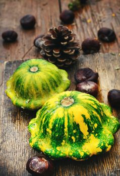 Harvest of squashes,autumn conker and cones on wooden background