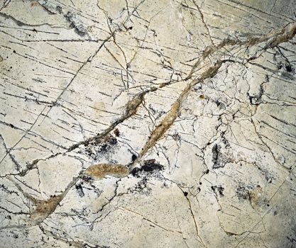 abstract texture detail on limestone woven quartz veins