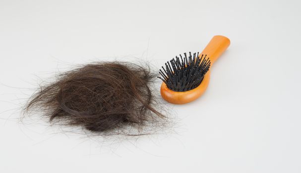 Wooden hair brush with lost brown hair on white background.