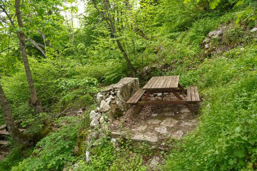 Landscape view of intense Black Sea forests with green trees, meadow area, and wooden table.