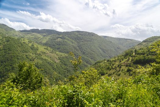 Landscape view of high mountains of Black Sea region with big pine trees around, on cludy sky background.