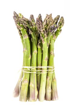 Standing bunch of green asparagus  vegetables isolated on white background.