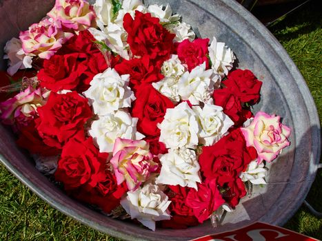 Artificial red and white roses blossom arranged in a tin container