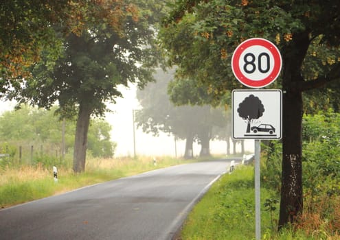 Road sign with car crashing into tree