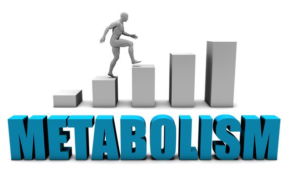 Metabolism 3D Concept  in Blue with Bar Chart Graph